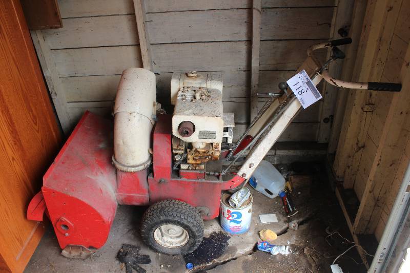 lot 118 image: Snowblower