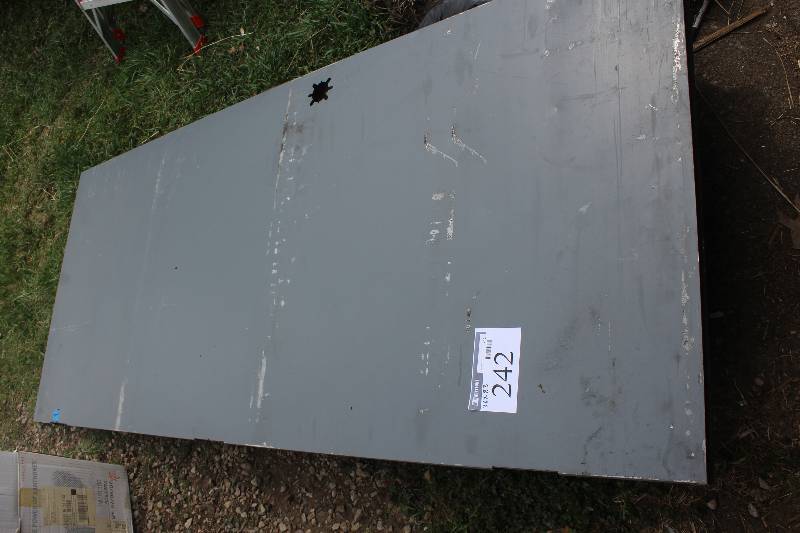 lot 242 image: Metal Door