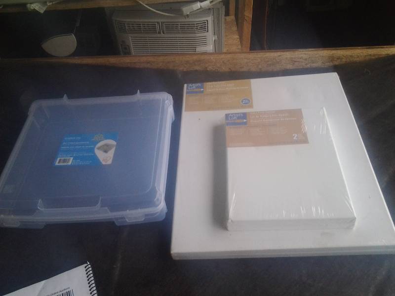 New Artist Canvas (2-16x20, 2-9x12), Plastic Craft Storage Case
