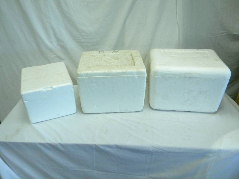 lot 59 image: Styrofoam Coolers