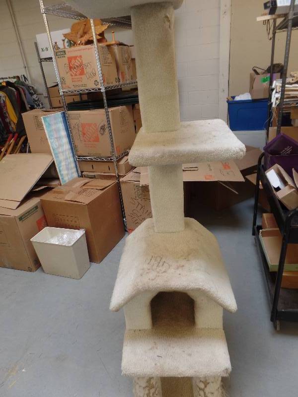 Cat Scratch Post