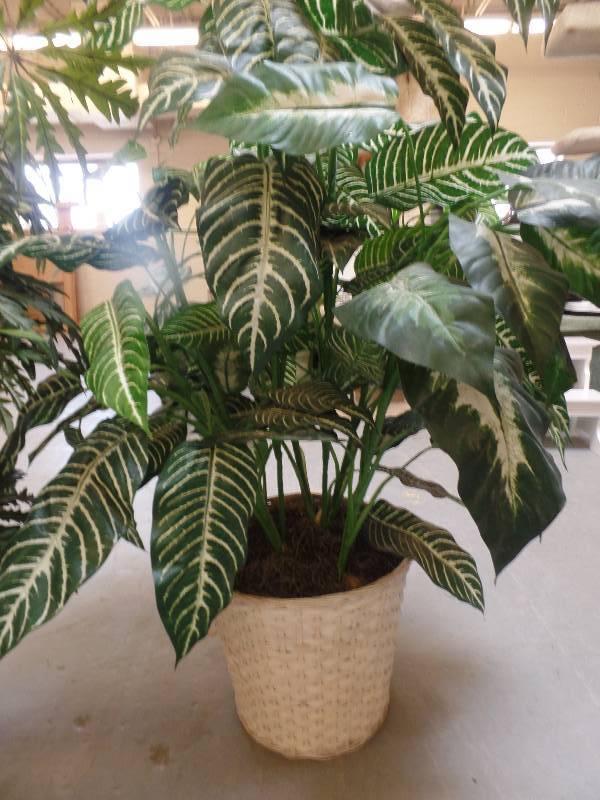 Artificial Plants