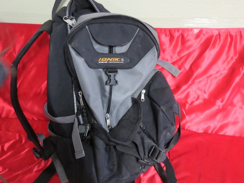 lot 198 image: Purses and backpack