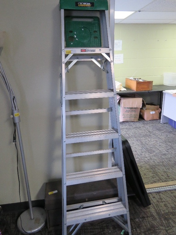 lot 254 image: Ladder