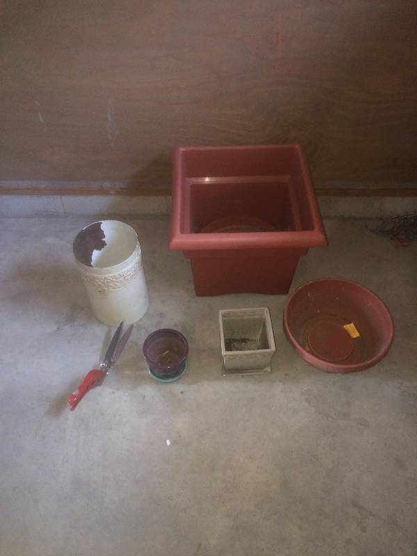 Garden & Plant Lot