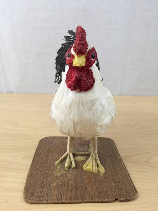 Vintage Collectible Amish Boy & His Chicken