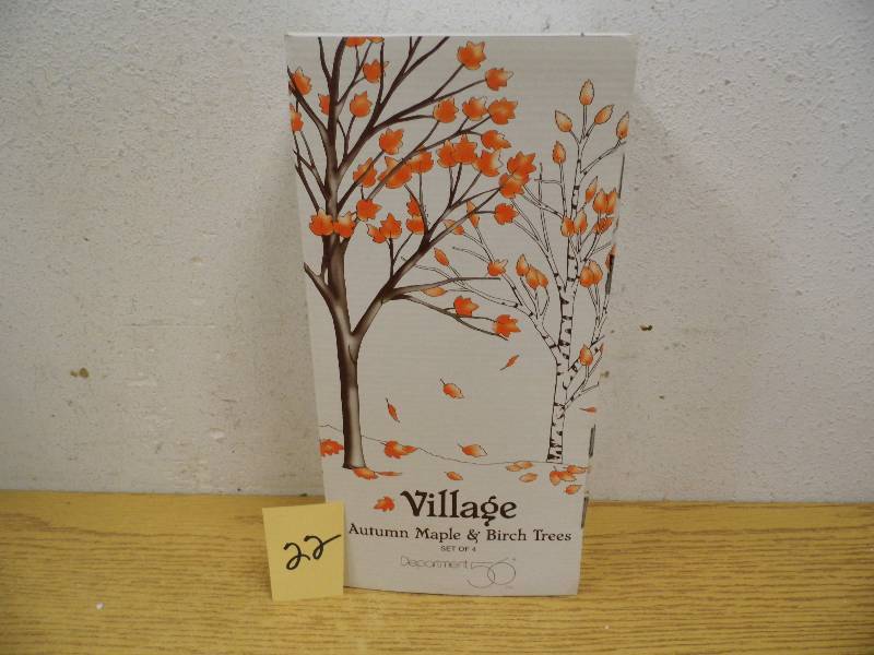 Autumn Maple & Birch Trees