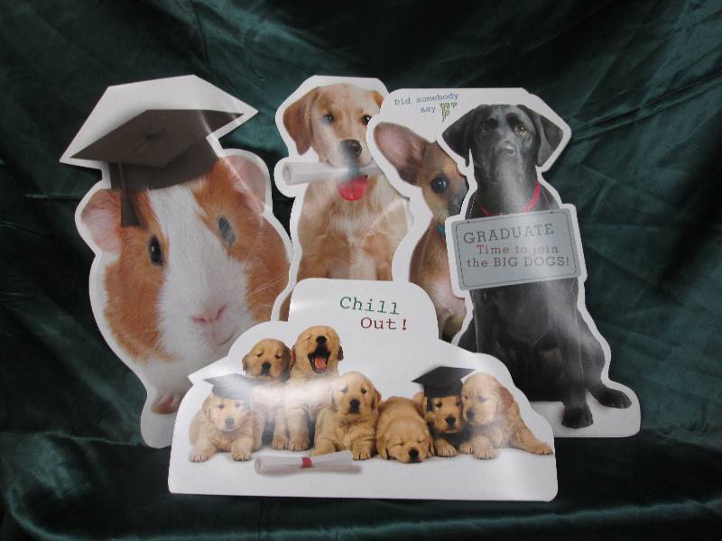 lot 192 image: Lot of animal themed display gradua...