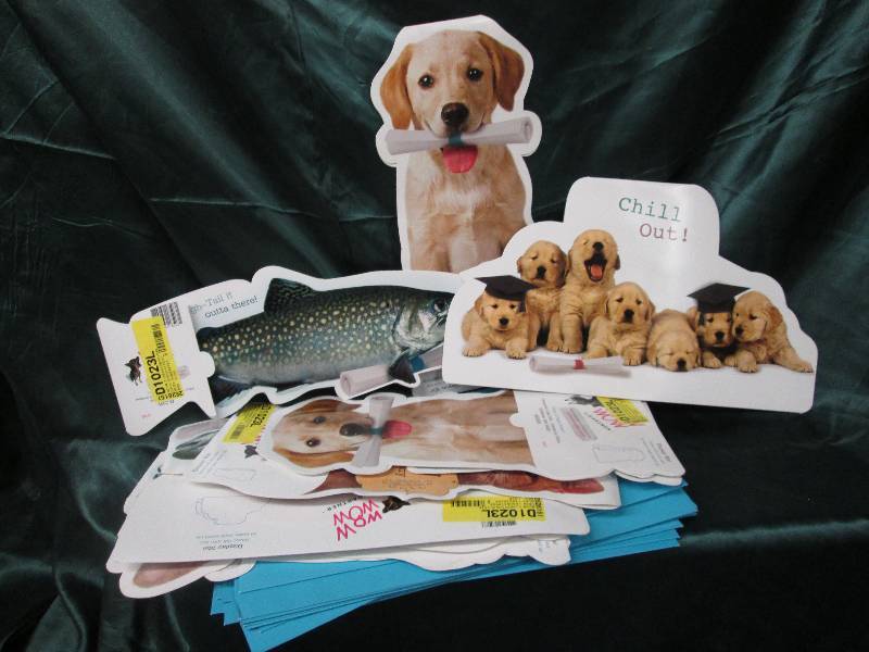 lot 231 image: Lot pet themed display graduation c...