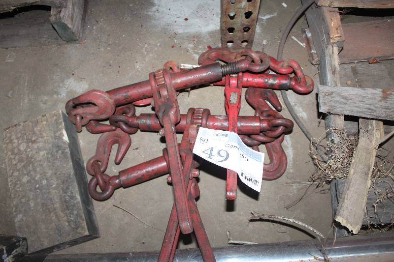 lot 49 image: Lot of (4) Chain Ratcheting Load Binders
