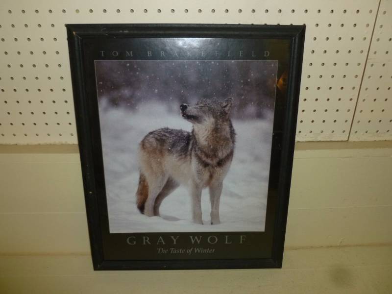 lot 62 image: Picture