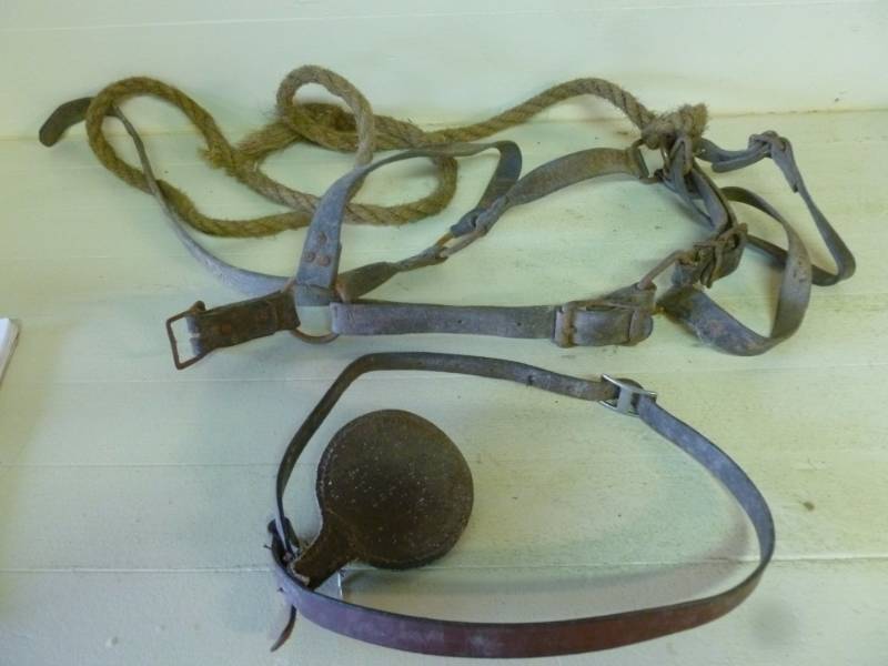 lot 118 image: Vintage Horse Equipment