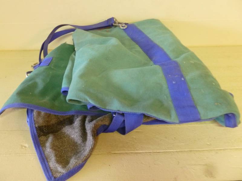 lot 123 image: Horse Equipment