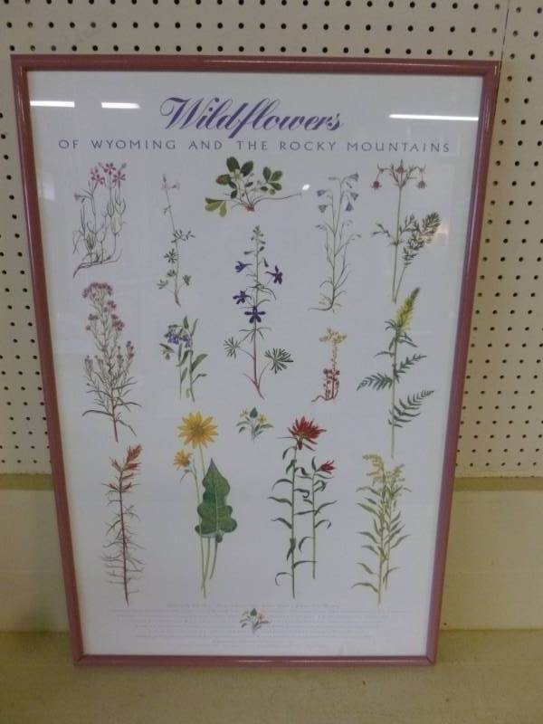 lot 127 image: Picture