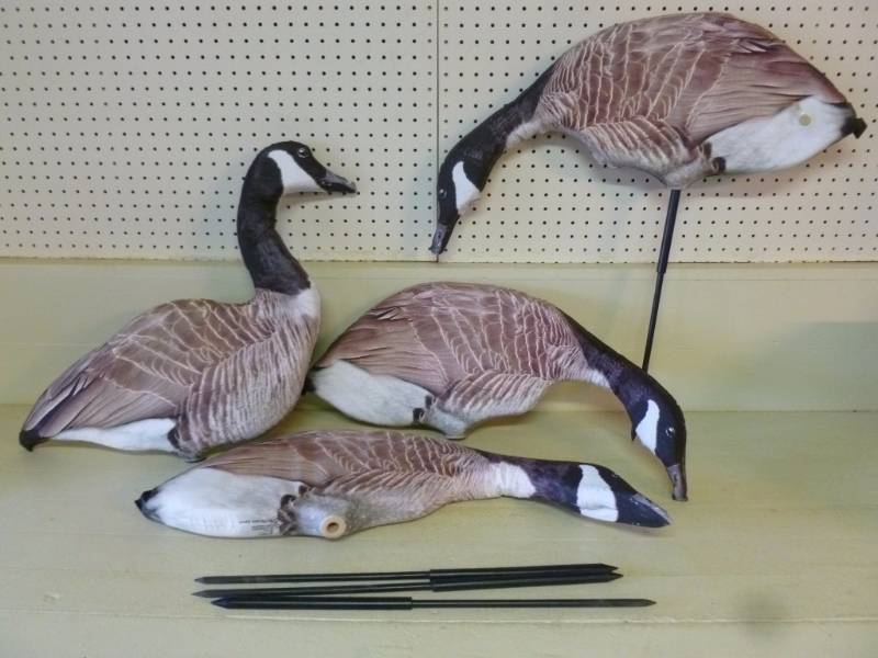 lot 151 image: Goose Decoys