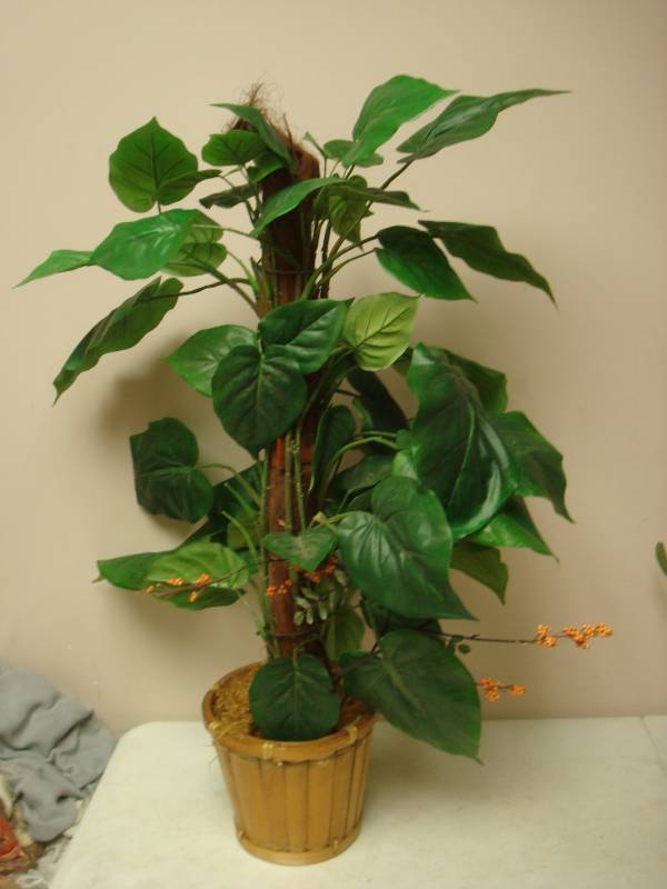 lot 79 image: Fake Plant