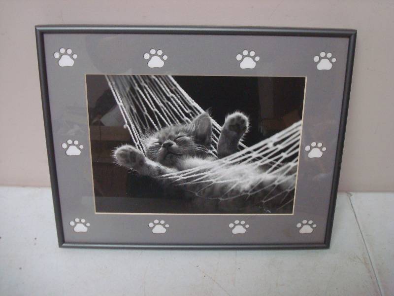 lot 111 image: Framed Cat Picture