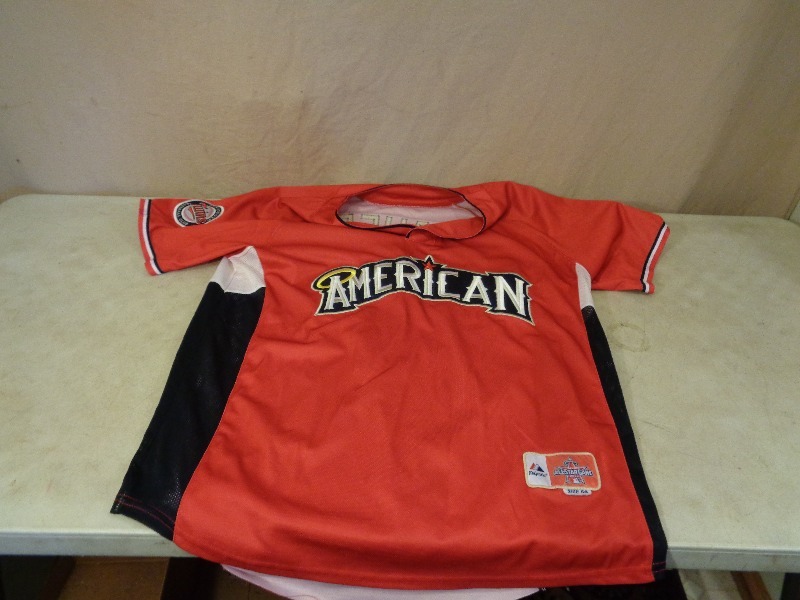 lot 209 image: 2010 Joe Mauer All Star Game Jersey