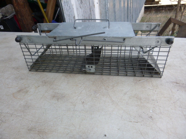 lot 17 image: Small Havahart Live Trap