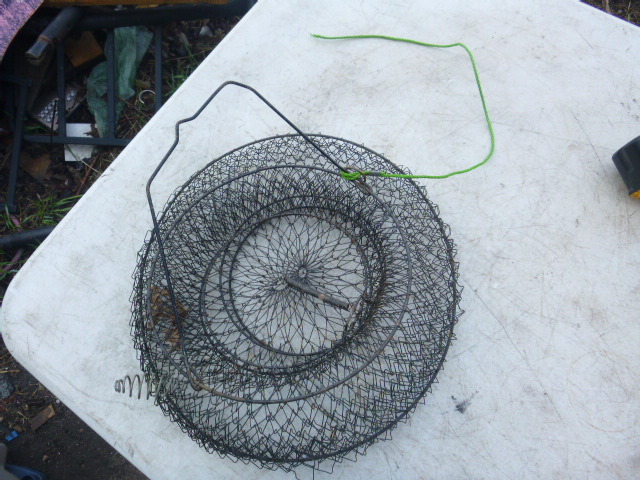 lot 177 image: Fish Basket
