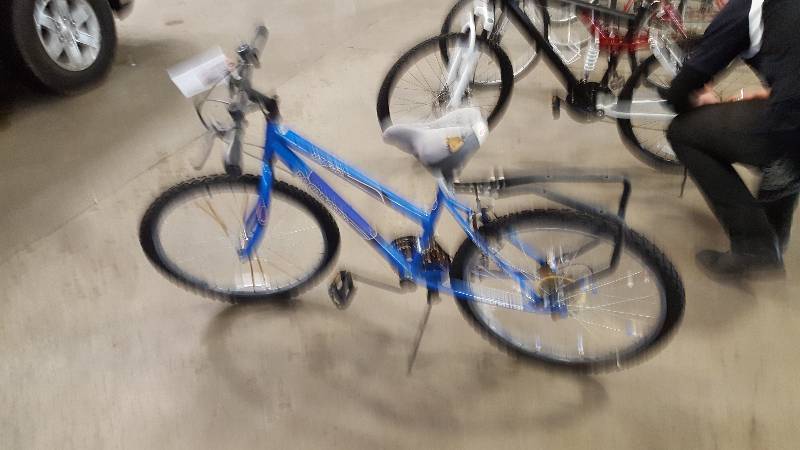 lot 309 image: MT Fury Bike, 20 Rim