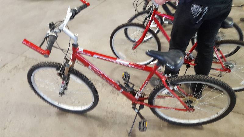 lot 313 image: Red Magna Great Divide Mountain Bike, 22 Rim