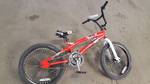 Schwinn 2024 falcon freestyle