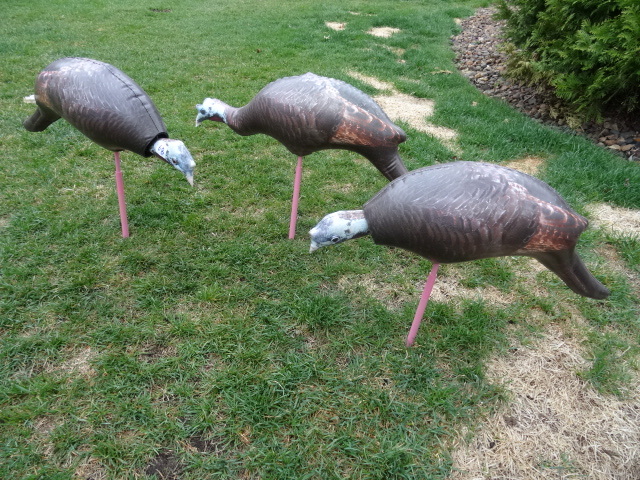 lot 68 image: 3 Bobble Head Turkey Decoys