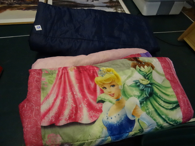 lot 188 image: Tote with Full Sized Sleeping Bag
