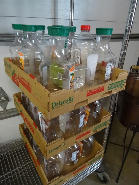 lot 242 image: 34 Plastic Jugs Most Are 59 oz. Size