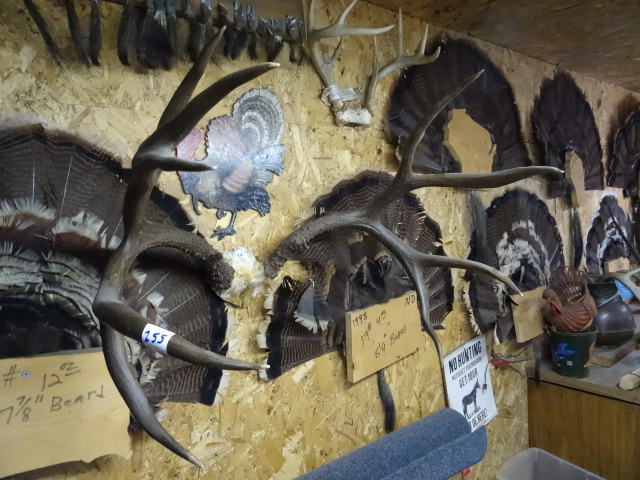 lot 255 image: Mule Deer Rack 22