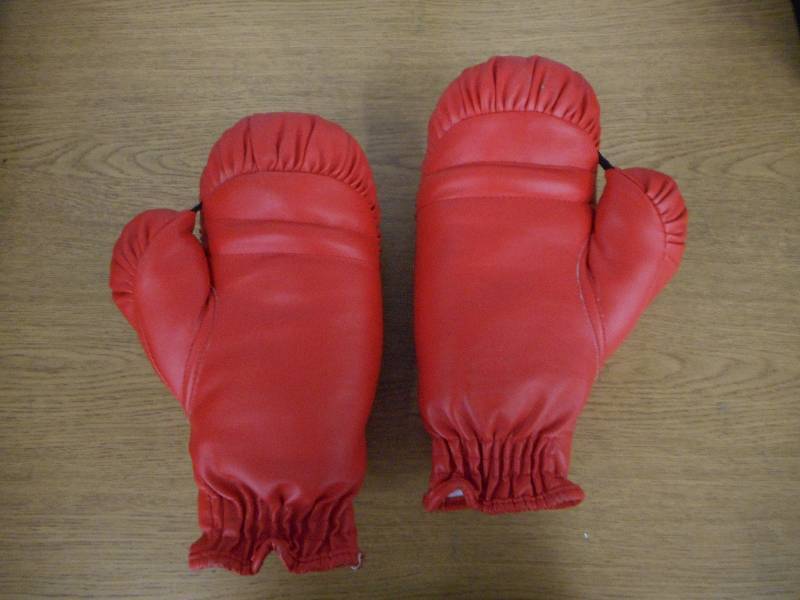 lot 41 image: PAIR OF EVERLAST BOXING GLOVES