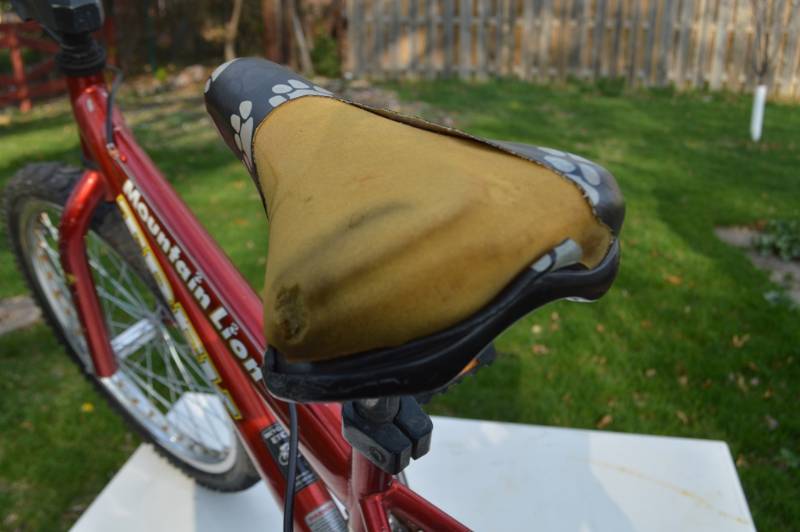 20 Mountain Lion Trek Bicycle