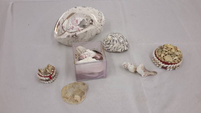 lot 105 image: Shells, and jewelry boxes