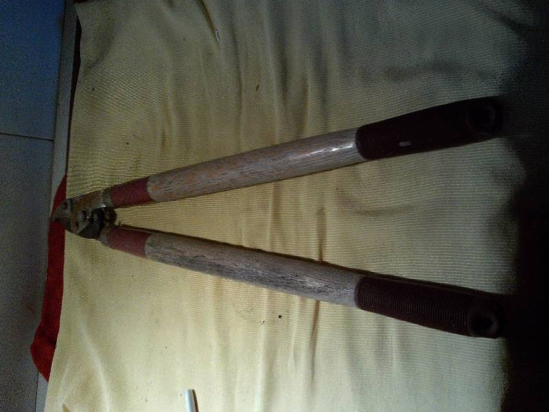 lot 38 image: WOOD HANDLED CLIPPER
