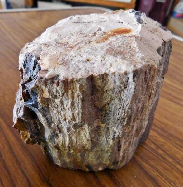 lot 83 image: large piece of petrified wood