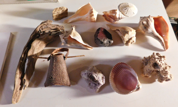 lot 159 image: sand dollar, seashells, driftwood amethyst