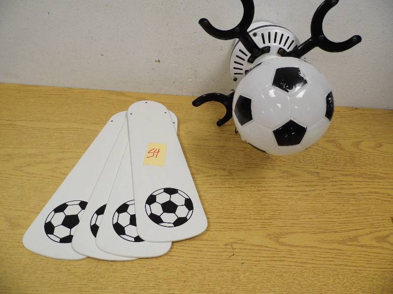 Soccer Fan