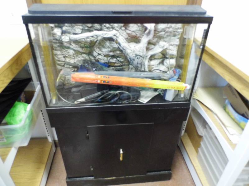 29 Gallon Aquarium w Stand