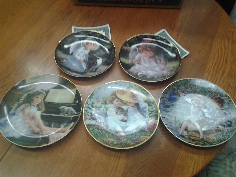 5-Collector Plates