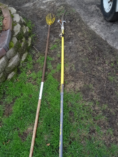 Tree Trimmer