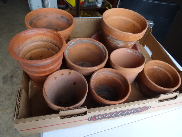 Flower Pots