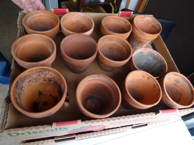 Flower Pots