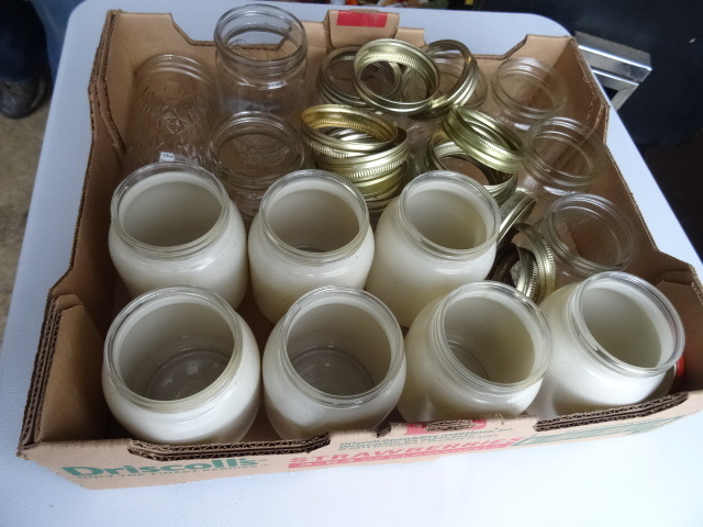 Jelly Jars