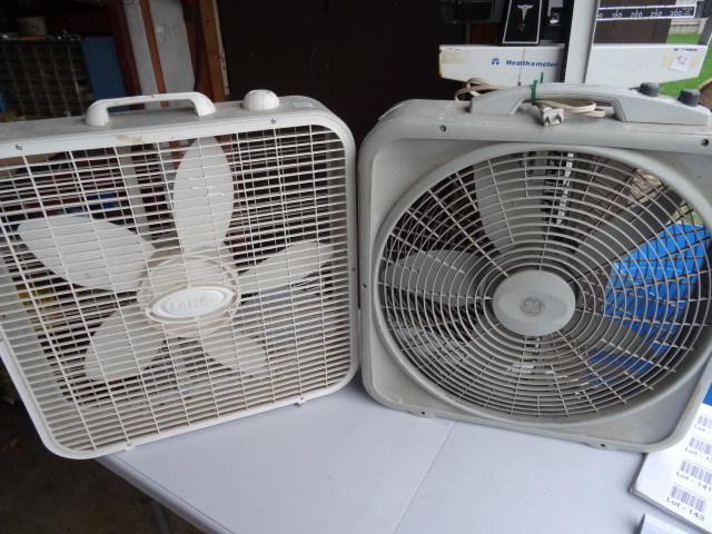 Fans