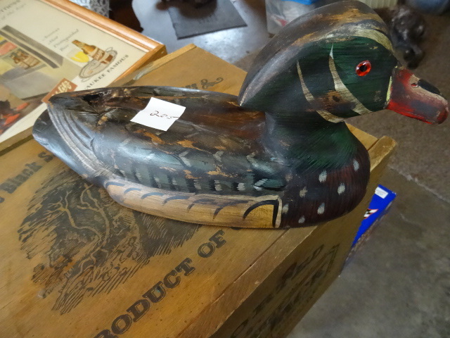 Duck