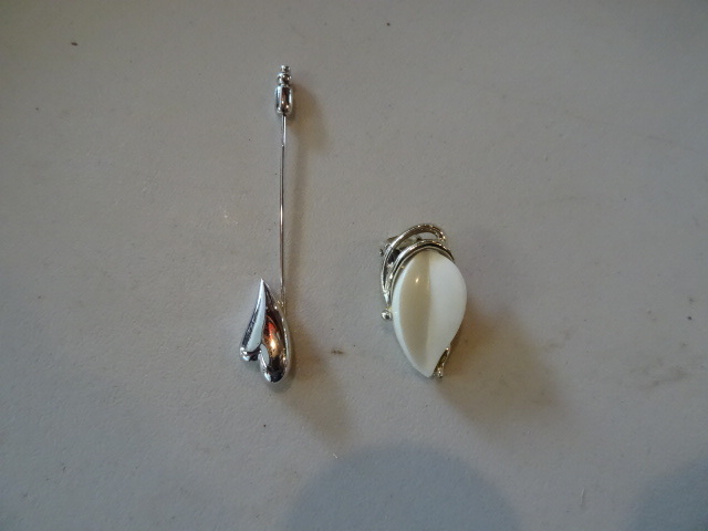 Earring & Pin