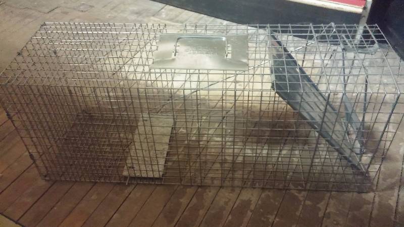 lot 26 image: Raccoon Trap