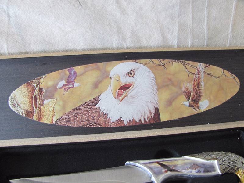 lot 185 image: Soaring Eagles Decorative Knife and Wood Box Set
