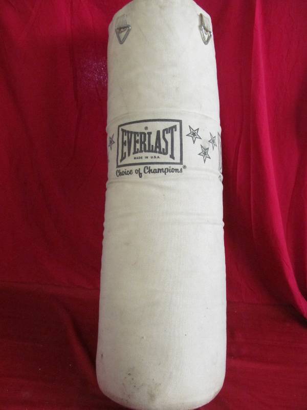 lot 205 image: Everlast punching bag